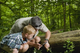 Methoden der Naturerfahrung